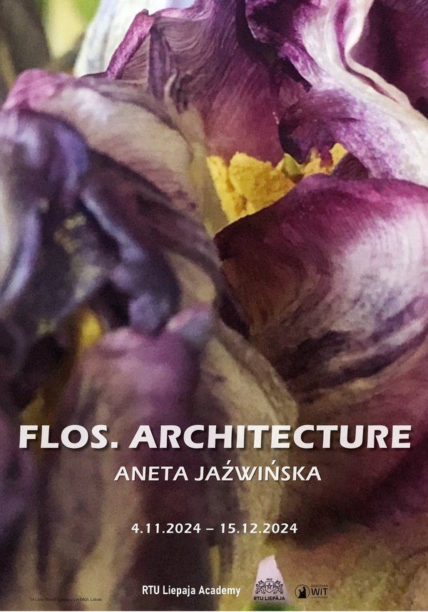 Aneta Jaźwińska: Flos. Architecture